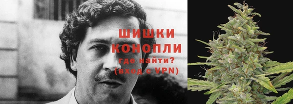 гашик Арсеньев
