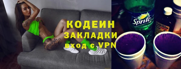 индика Аркадак
