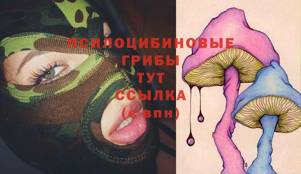 гашик Арсеньев