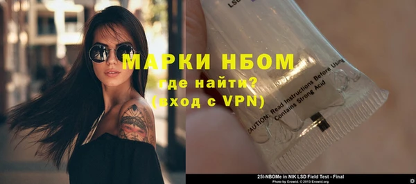 индика Аркадак