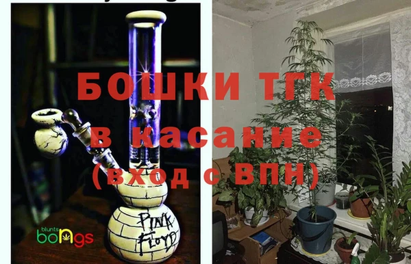 индика Аркадак