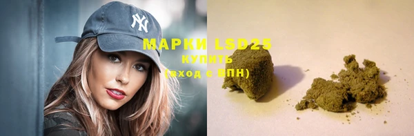 гашик Арсеньев