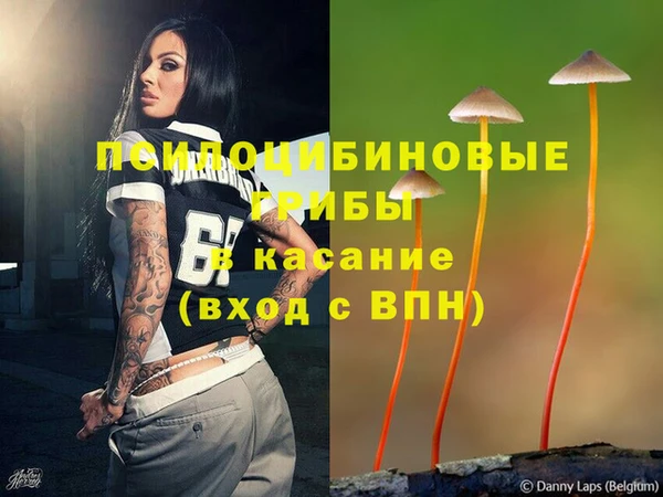 a pvp Медвежьегорск
