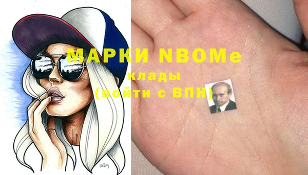 индика Аркадак
