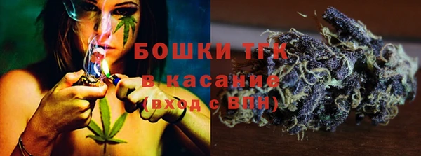 гашик Арсеньев