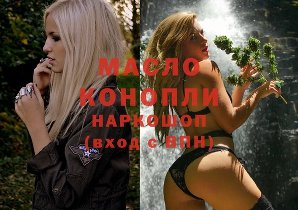 гашик Арсеньев
