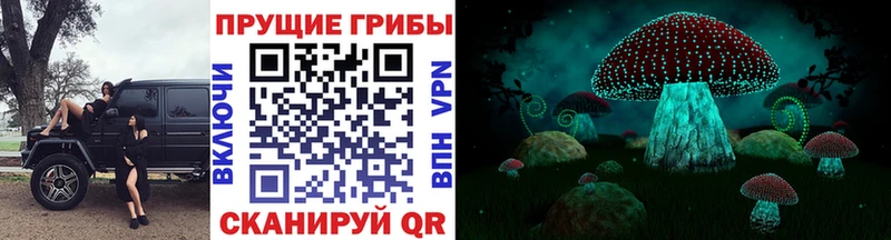 Псилоцибиновые грибы Psilocybe  даркнет официальный сайт  Каневская 